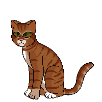 Oak Stripe